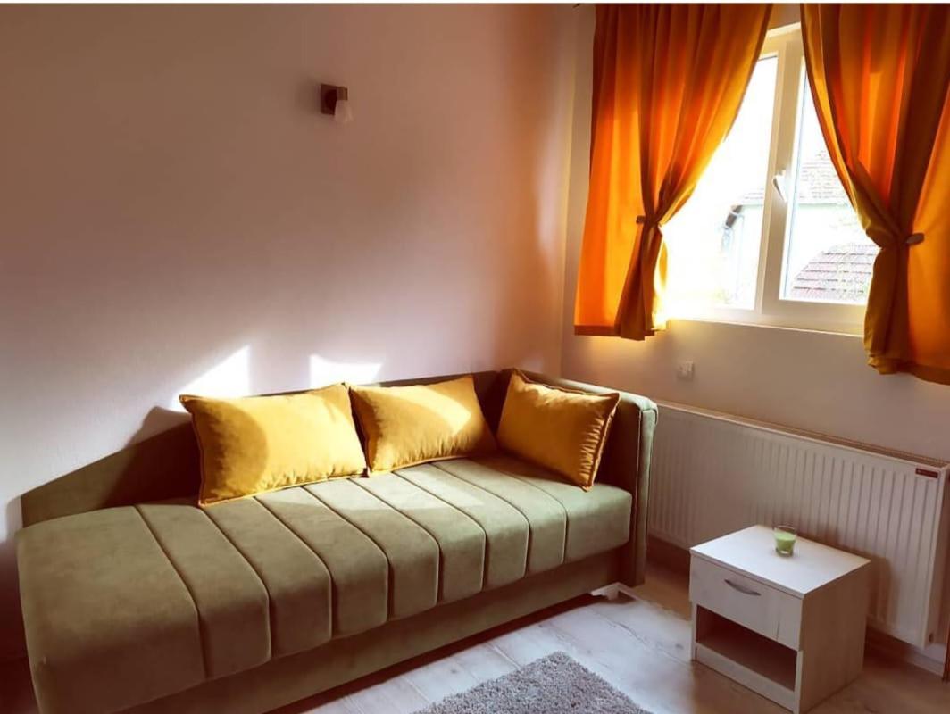 Apartments Vila Selena - Golija Rudno Eksteriør billede