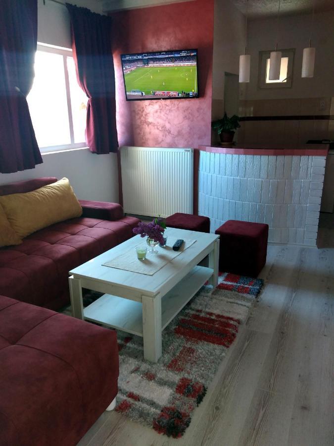 Apartments Vila Selena - Golija Rudno Eksteriør billede