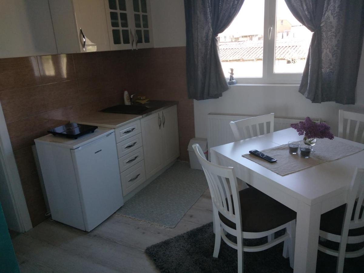 Apartments Vila Selena - Golija Rudno Eksteriør billede