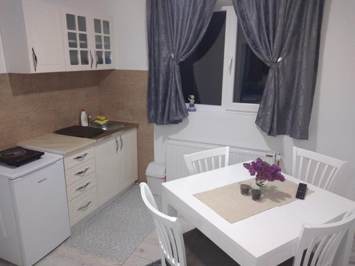 Apartments Vila Selena - Golija Rudno Eksteriør billede